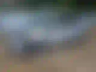 Vehicle Image- 2012 Toyota Prius