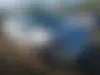 Vehicle Image- 2013 Toyota Prius