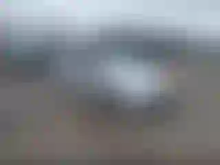 Vehicle Image- 2015 Toyota Prius