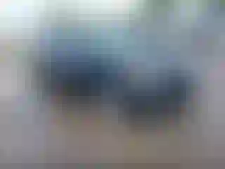 Vehicle Image- 2010 Toyota Prius