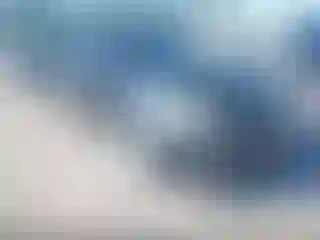 Vehicle Image- 2010 Toyota Prius