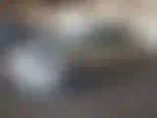 Vehicle Image- 2010 Toyota Prius