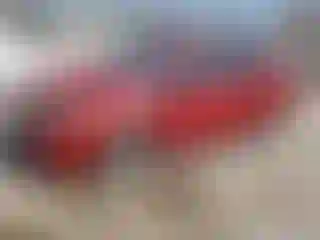 Vehicle Image- 2010 Toyota Prius
