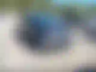 Vehicle Image- 2010 Toyota Prius