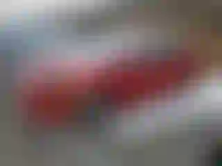 Vehicle Image- 2011 Toyota Prius
