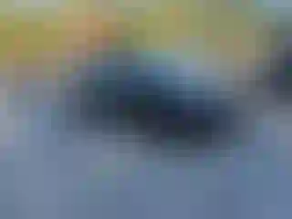 Vehicle Image- 2011 Toyota Prius