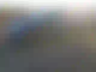 Vehicle Image- 2011 Toyota Prius