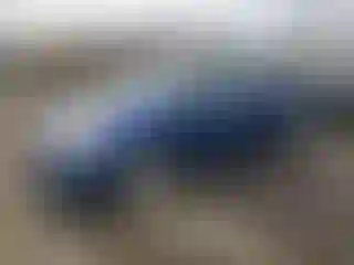 Vehicle Image- 2011 Toyota Prius