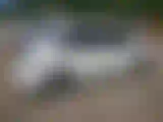 IMPORTOWO.pl