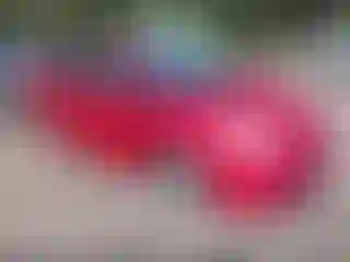 Vehicle Image- 2012 Toyota Prius