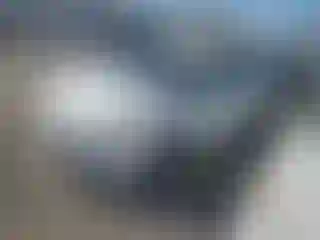 Vehicle Image- 2013 Toyota Prius