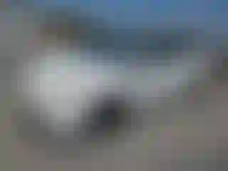Vehicle Image- 2013 Toyota Prius