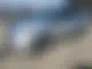 Vehicle Image- 2010 Toyota Prius