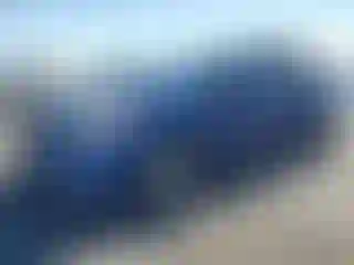 Vehicle Image- 2010 Toyota Prius