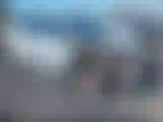 Vehicle Image- 2010 Toyota Prius