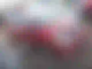 Vehicle Image- 2011 Toyota Prius