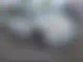 Vehicle Image- 2011 Toyota Prius