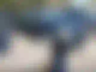 Vehicle Image- 2011 Toyota Prius