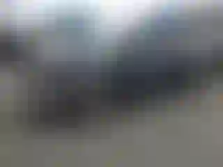 Vehicle Image- 2011 Toyota Prius