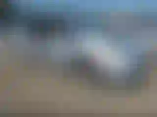 Vehicle Image- 2011 Toyota Prius