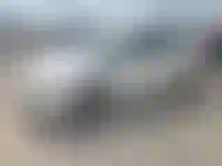 Vehicle Image- 2011 Toyota Prius