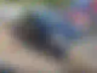 Vehicle Image- 2012 Toyota Prius