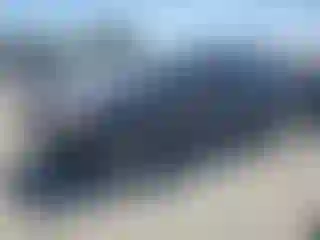 Vehicle Image- 2013 Toyota Prius