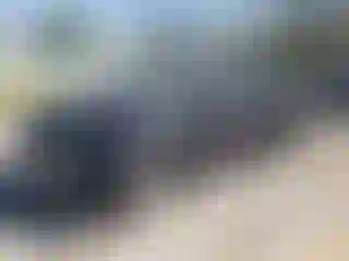 Vehicle Image- 2015 Toyota Prius