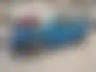 Vehicle Image- 2021 Toyota Prius
