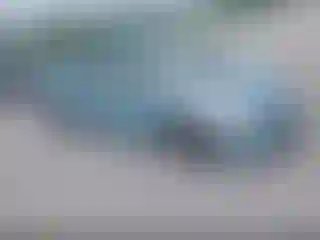 Vehicle Image- 2021 Toyota Prius