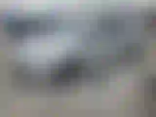 Vehicle Image- 2021 Toyota Prius