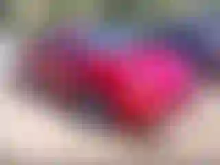 Vehicle Image- 2020 Toyota Prius