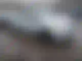 Vehicle Image- 2019 Toyota Prius