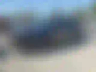 Vehicle Image- 2019 Toyota Prius