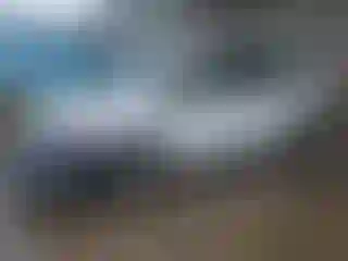Vehicle Image- 2019 Toyota Prius
