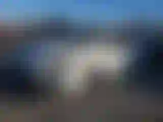 Vehicle Image- 2022 Toyota Corolla