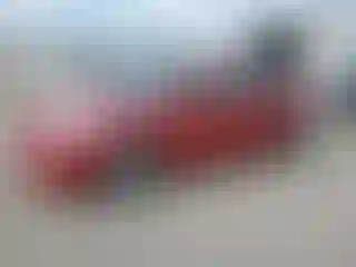 Vehicle Image- 2014 Toyota Prius