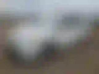 Vehicle Image- 2015 Toyota Prius