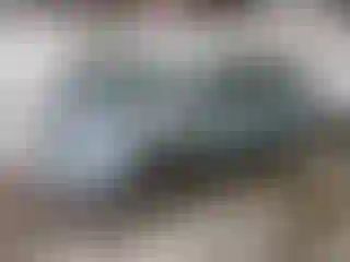 Vehicle Image- 2017 Toyota Prius