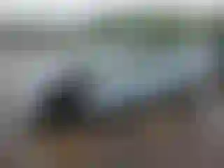 Vehicle Image- 2012 Toyota Prius