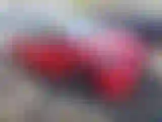 Vehicle Image- 2015 Toyota Prius
