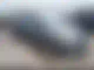 Vehicle Image- 2013 Toyota Prius