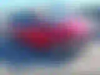 Vehicle Image- 2016 Toyota Prius