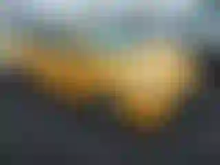 Vehicle Image- 2016 Toyota Prius