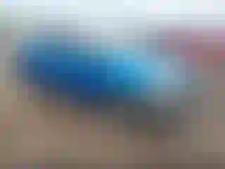 Vehicle Image- 2016 Toyota Prius
