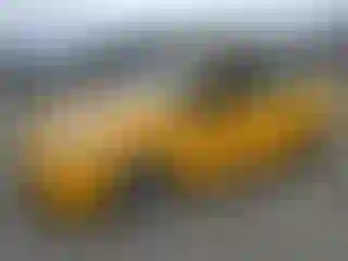 Vehicle Image- 2016 Toyota Prius