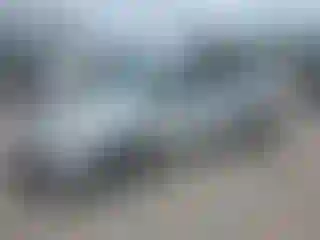 Vehicle Image- 2017 Toyota Prius