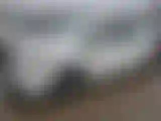 Vehicle Image- 2017 Toyota Prius
