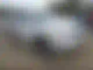 Vehicle Image- 2010 Toyota Highlander