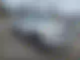 Vehicle Image- 2008 Toyota 4 Runner